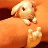 Opening Knuckle Ring Finger Ring Party Jewelry Rabbit Animal Ring Korean Style Ring Women Rings