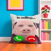 John P-pork Singer Pillow Case Pillow Case Plush Fabric Soft Double Sided Print Home Sofa High Quality Cushion