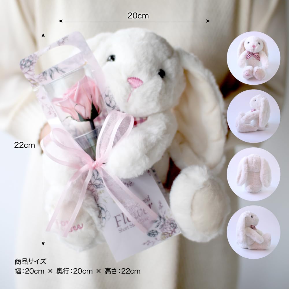 Flor preservada Flor preservada con estuche transparente L Conejo y una sola rosa Flor preservada Rosa Presente Celebración Aniversario Cumpleaños