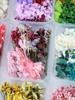 Assorted Preserved Dried Flower Kit: Hydrangea, Photo Frame & Wax Tablet Decorations