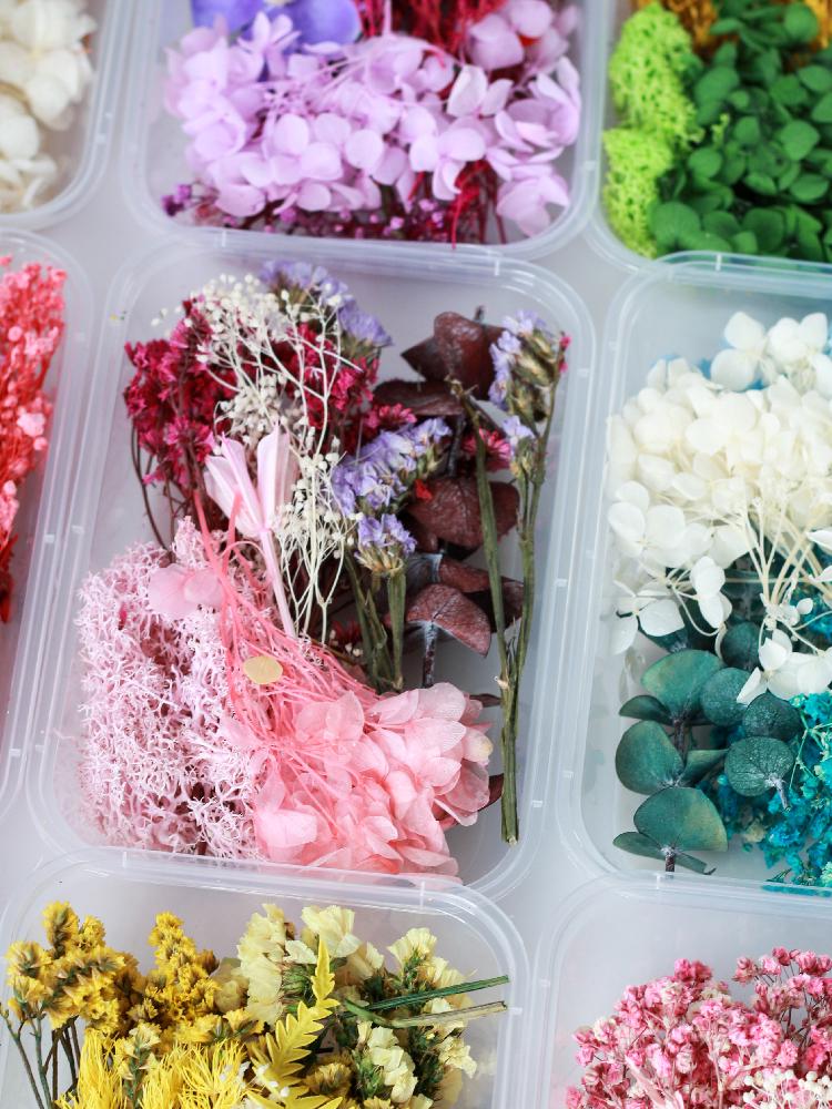 Assorted Preserved Dried Flower Kit: Hydrangea, Photo Frame & Wax Tablet Decorations