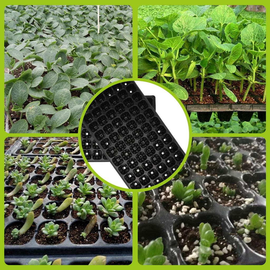 10 Stück 50-Zellen Anzuchtschale Pflanzenvermehrungsbehälter Zell-Setzling-Schalen Tomatenkeimung Gartenbaumschule Setzling