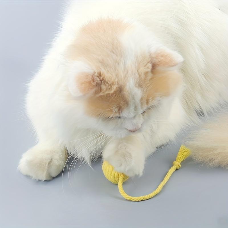 Cat Toy Balls with Ropes, with Bell Built-in Rolling Balls and Make Sounds for Kittens To Play With