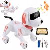 Jucării și drone controlate radio – Roboți și animale controlate radio