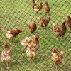 Heavy Duty Braided Cord Netting Reusable Bird Protection Mesh Animal Fence Garden Net  Deer Fence