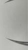 [USED] blackpink album bornpink whitever
