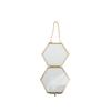 8 Stuks Gedroogde Bloemen Frame Vintage Messing Glas Zwevend Fotolijst met Ophangketting voor Gedroogde Bloemen Planten