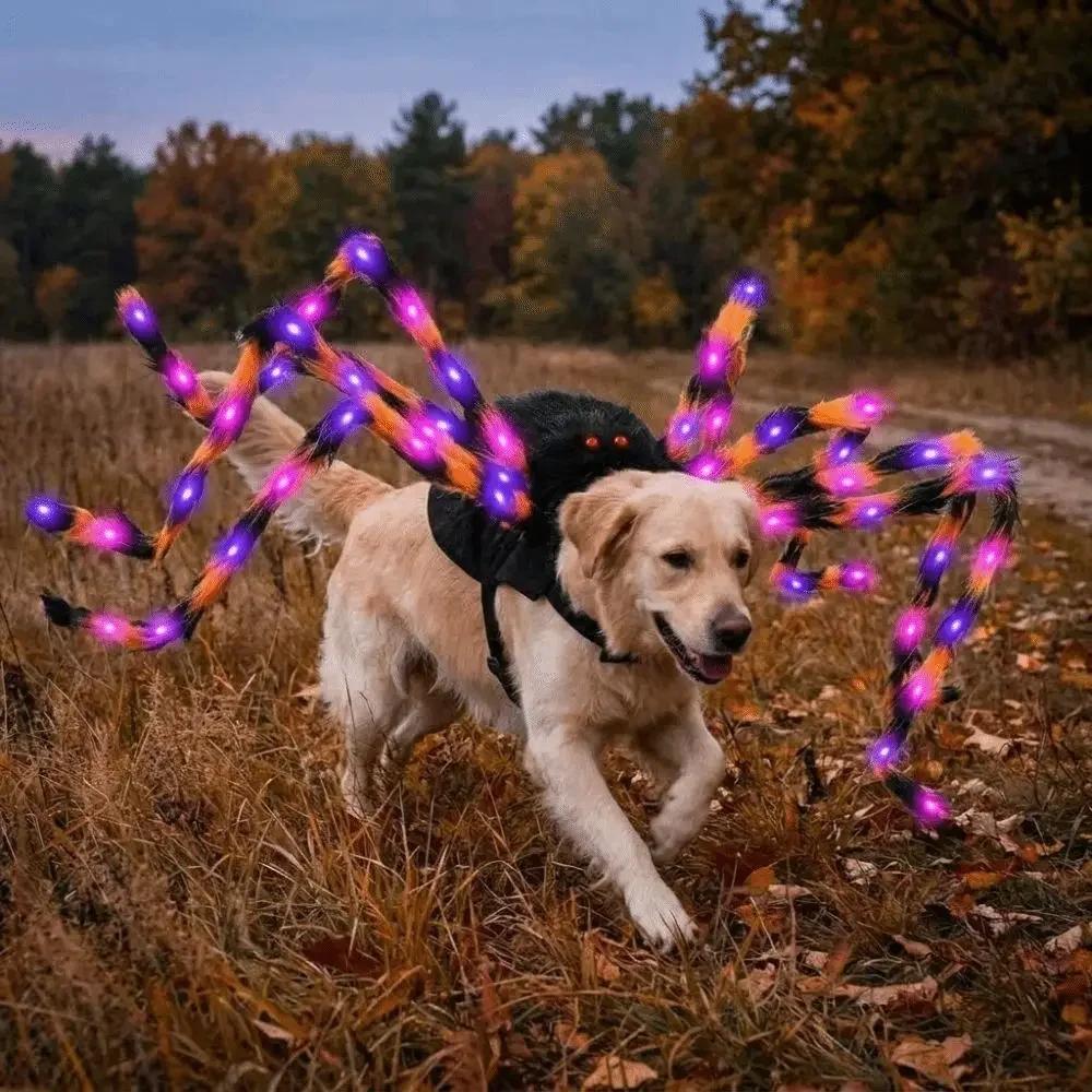 LED fialová světla Zvířecí svítící pavouk Oblečení chlupatá simulovaná pavoučí Halloweenský kostým pavouka pro mazlíčka Kreativní realistický