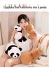 Funny Panda to Capybara Plush Transforming Doll - Soothing Sleep Toy & Birthday Gift