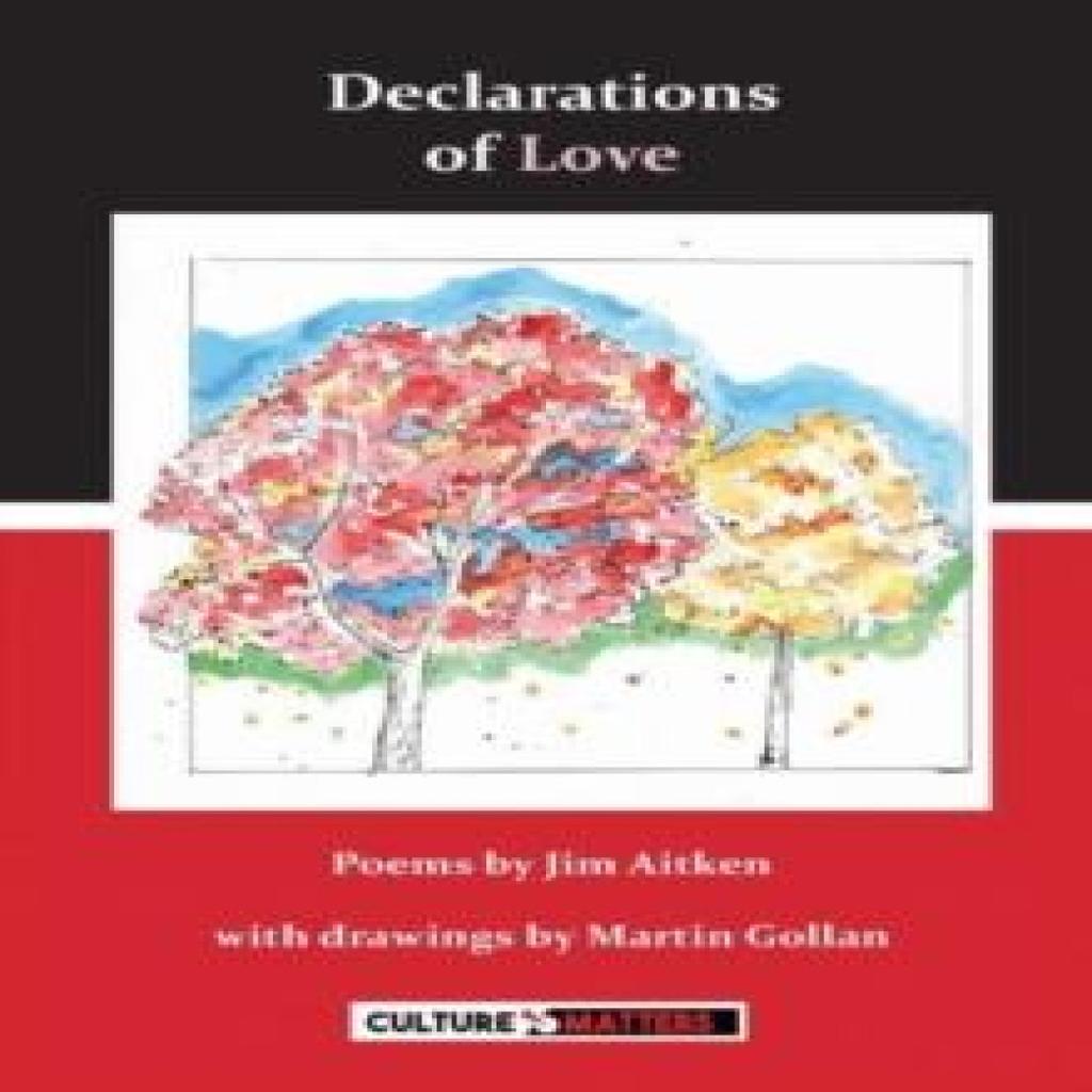 Declarations of Love by Jim Aitken Paperback Book 9781912710492