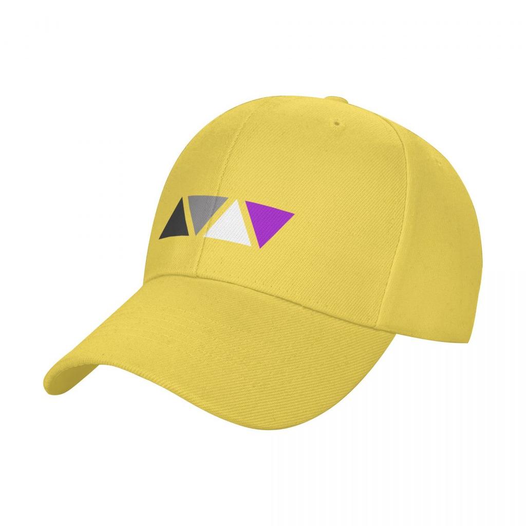 Triangles Asexual Pride Flag Subtle Asexual Pride Baseball Cap funny hat Sunscreen Sun Cap custom Hat Unisex Womens