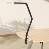Desk Lamp, Adjustable Brightness and Color, Metal Clamp, 96 LEDs, Black