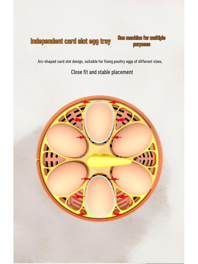 Smart Fully Automatic Small Egg Incubator for Home & Kids