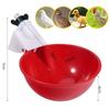 Chicken Drinking Bowl Automatic Water Dispenser 4/6/8CM 2/4/6Pcs Drinking Cup Water Bowl Quail Poultry Duck Drink Tool Breeding