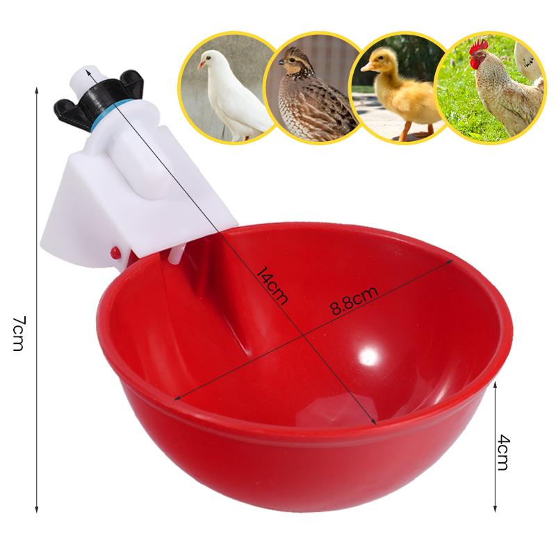 Chicken Drinking Bowl Automatic Water Dispenser 4/6/8CM 2/4/6Pcs Drinking Cup Water Bowl Quail Poultry Duck Drink Tool Breeding