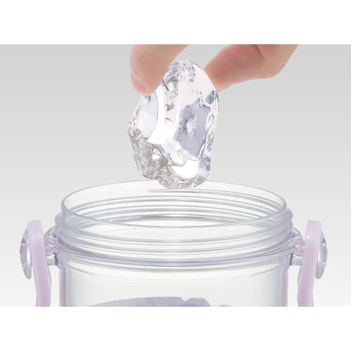 Skater Water Bottle, 480ml, Disney Princess 24 Design, Plastic Clear Bottle, for Kids, Made in Japan, PSB5TR-A