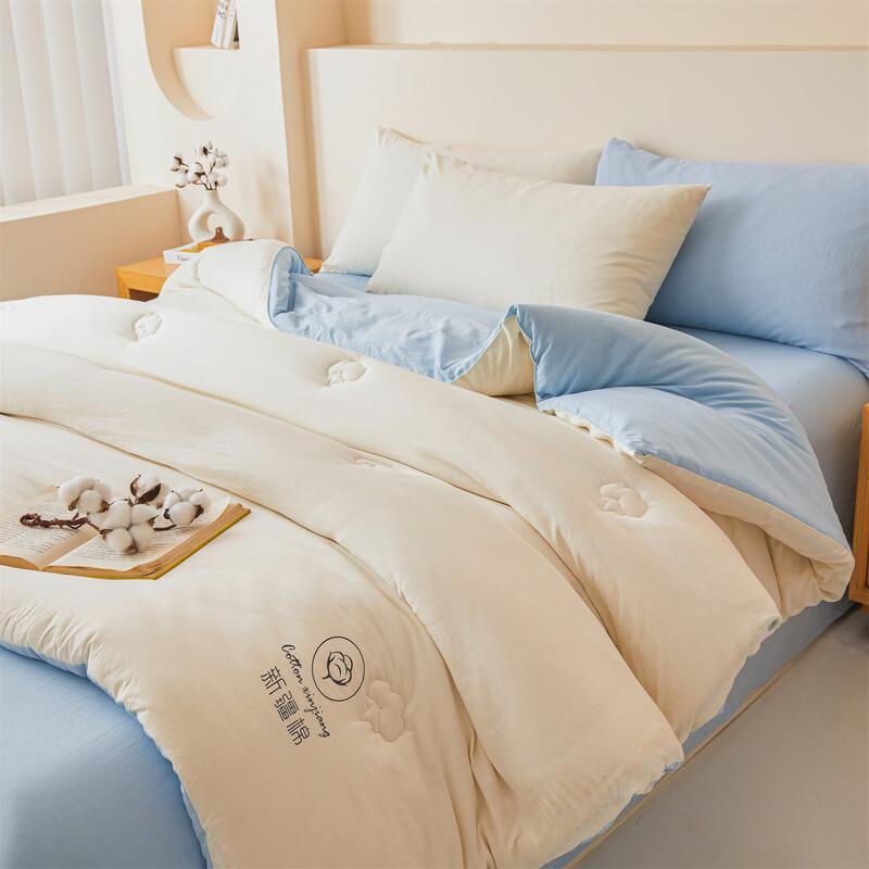 Red Bean Thickened Xinjiang Cotton Winter Quilt