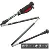 MIZUNO Nordic Walking Walking Poles Alkerne of Short C3JTPD20 4A-1 (Pair 2), Unisex, Violet, Type,