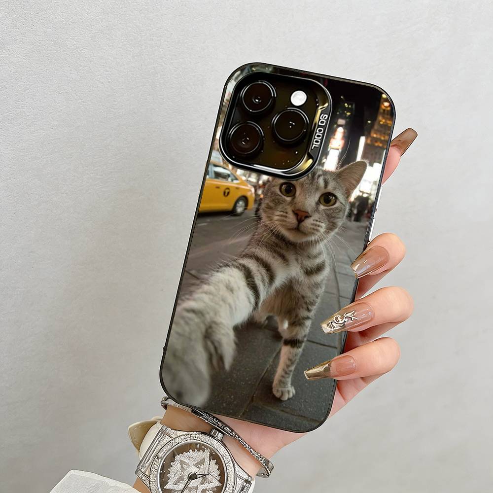 Cat Phone Case For iPhone 17,16,15,14,13,12,11 Plus,Pro Max,XS,Colorful Silver Phone Case Funda Cover