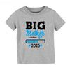 Promoted To Big Sister/Brother 2026 Matching Brother Sister Shirts Baby Announcement New Bro Sis Gift Matching Sibling Clothes