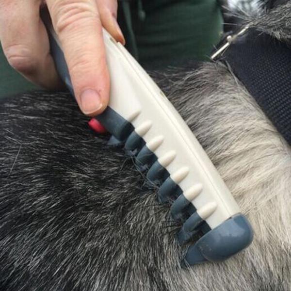 Premium Quality Electric Pet Grooming Flea Comb For Effortless Grooming Of Dogs And Cats