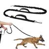 Pouch for Training, Waist Bag with Water Bottle Holder, Hands Belt Fanny Pack Great Puppy