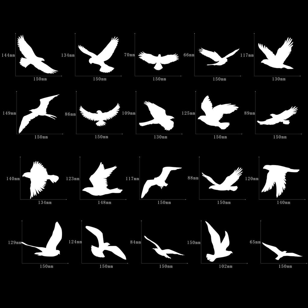 Boao 40 Pieces Large Size Anti-Collision Window Clings Bird Window Stickers Prevent Bird Strikes on Doors Windows Glass Translucent/Dusted Bird