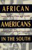 Libro African Americans In the South : Issues of Race, Class and Gender