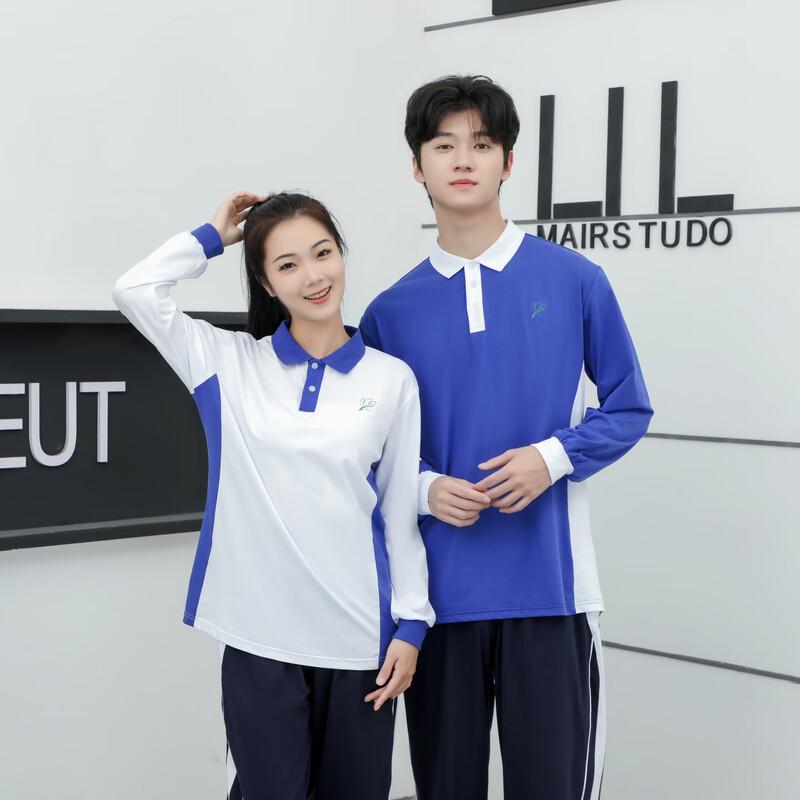 Chuangtong Premium Shenzhen School Uniform Boys' Long-Sleeve Cotton T-Shirt