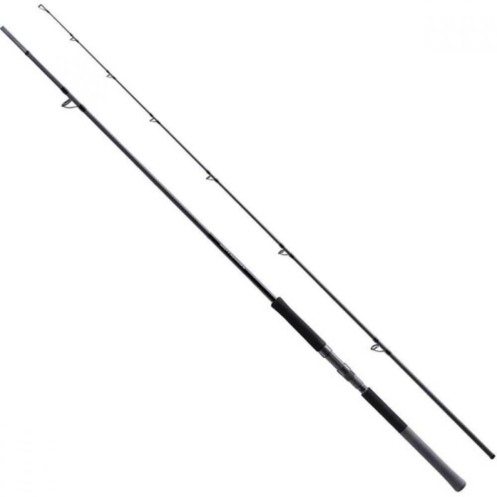 Shimano 25 Salty Advanced Shore Jigging S100h Shore Salt Rod 274649