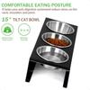 Upgraded Elevated Cat Food Bowl 15 Tilt Stand AntiVomit Elevated Cat Food Bowl 3 Stainl Steel for Feeding and Drinking Pet Feed