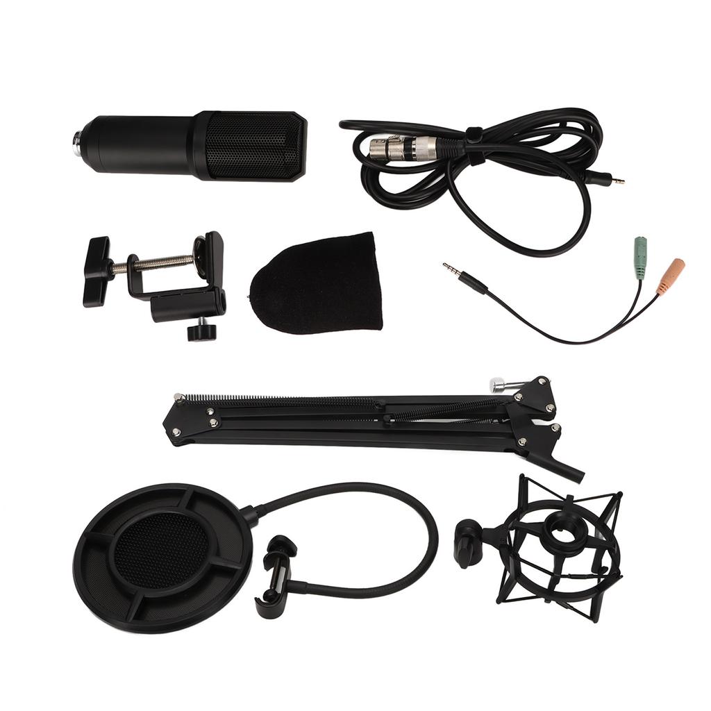 Microphone Professional Recording Game Streaming Media Cardioid Pointing Computer Microphone