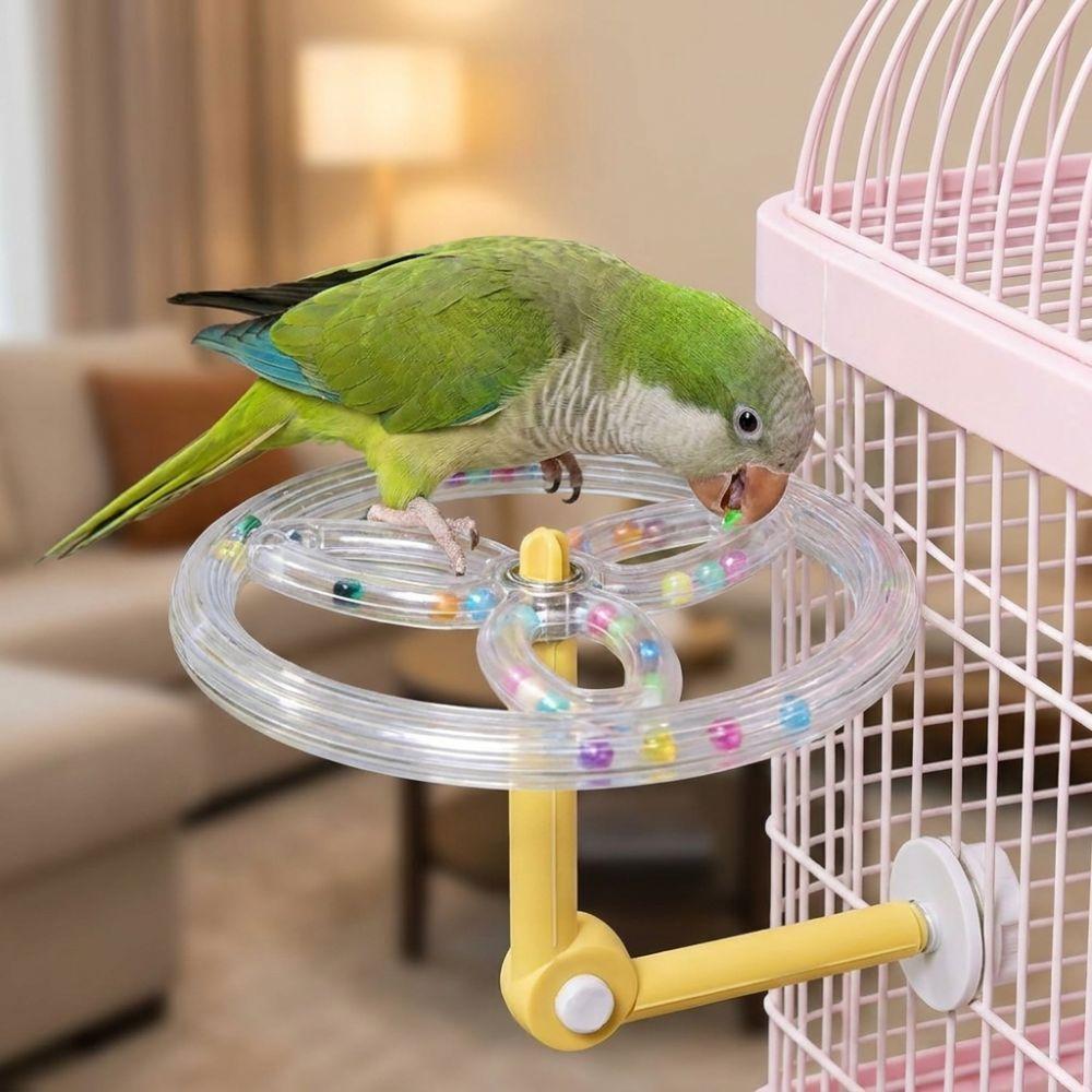 360 Grad Drehung Klarer Vogel Drehspielzeug Verstellbarer Vogelkäfig Spielständer Papageien Beschäftigung