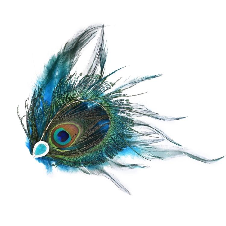 Ethnic Hair Clip Hair Jewelry Rhinestones Studded Peacocks Feather Side Clip Bohemian Headwear For Women Evening Event 1