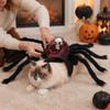 Pet Spider Costume Halloween Cat Spider Outfit with Skull Face Black Spider Holiday Apparel for Cats Dogs Cosplay Photo Props
