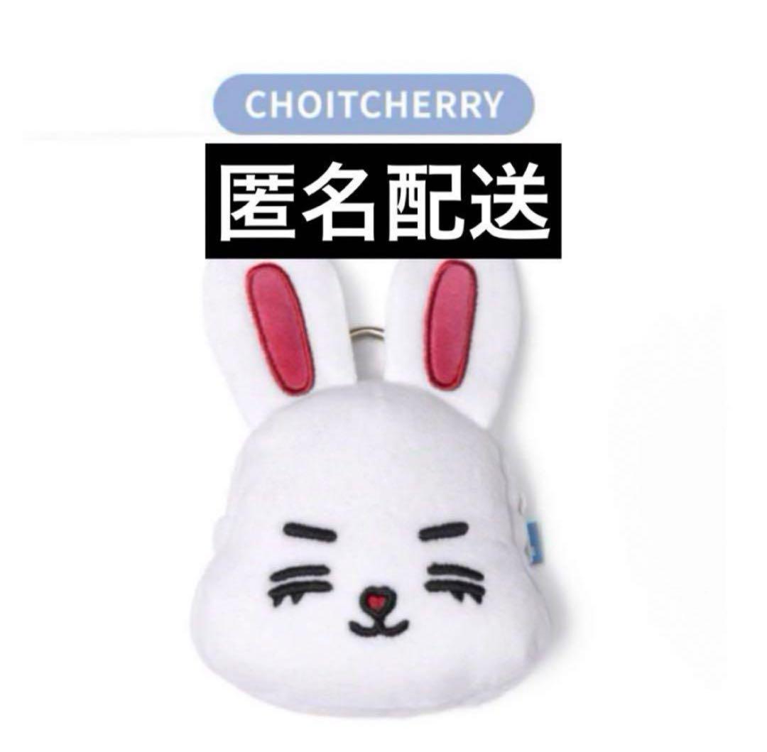 

[USED] SEVENTEEN Mini Teen S.Coups CHOITCHERRY coin pouch