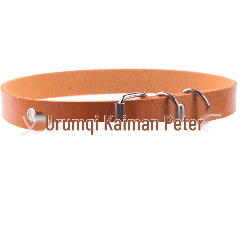 HyunA Yang Mi Harajuku Punk Flat Buckle Leather Choker Necklace