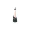RG Series Double Lock Tremolo Electric Guitar [Black Flat] RG420EX-BKF
