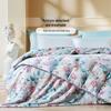 Fuanna Gantang 90% Duck Down & Silk 2-in-1 Antibacterial Comforter