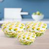 Bowl Covers Pineapple Set