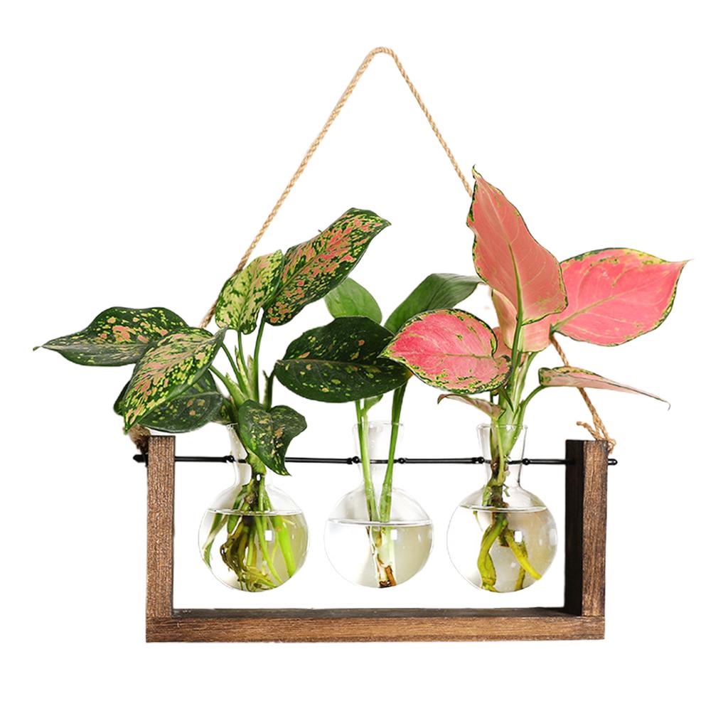 Wall Mounted Hydroponic Vase Green Plant Wooden Frame Vase for Living Room Home Decor