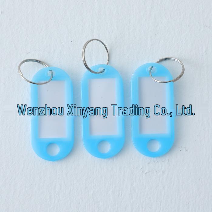

Multi-Colored PP Plastic Key Tag with Detachable Buckle Keyring for Office & Home Management