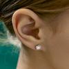 [Silver925] Between Faceted Round Earring