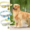 Bells Glow At Night Easy Wear Pet Supplies Cat Luminous Collar Dog Accessories Pet Glowing Collar