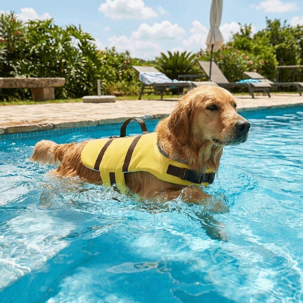Verstellbare Hunde-Schwimmweste Hoher Auftrieb Hunde-Schwimmkleidung Hundebadeanzug Hunde-Sicherheitswesten Strand