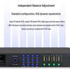 Weishu DSP0306 Digital Audio Processor (CN version)