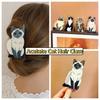 Pet Animal Hair Clip Acetic Acid Shark Clip Cute Acetate Cat Hair Claw  Girl