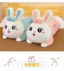 New 70-110Cm Cute Rabbit Girlfriend Pillow Plush Toys Stuffed Pause Office Nap Sleep Pillow Cushion Gift Doll For Kids Girls