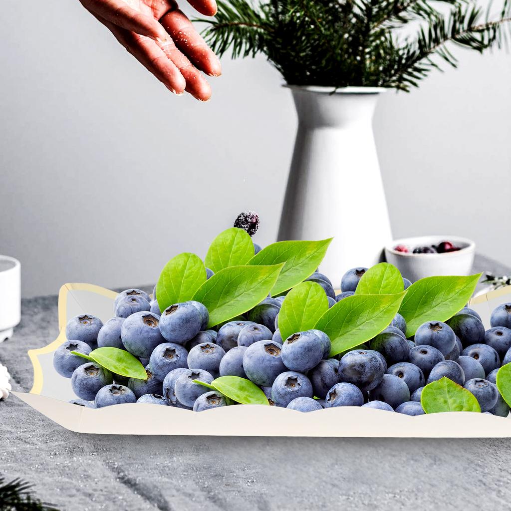 4 Pcs Elegant Square Paper Lace Plate Fruit Trays for Serving Party Catering Platter Cupcake White Food Cookie Travel