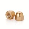 Decorative Brass Dome Head Cap Nuts - M3 To M14 Sizes, Polished Finish Hex Acorn Cover Nuts for Enhanced Fastening